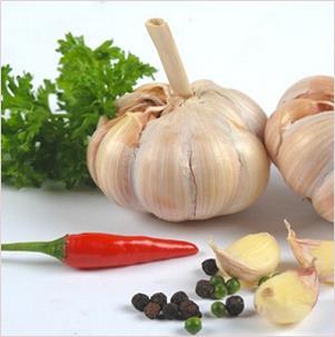 Garlic and its Health Benefits